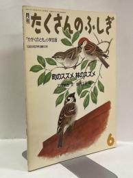 町のスズメ　林のスズメ　月刊たくさんのふしぎ　1986年6月号（通巻15号）かがくのとも小学生版