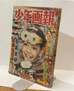 少年画報　新年特大号　昭和33年