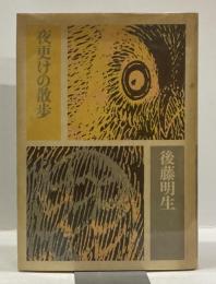 夜更けの散歩