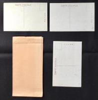 〈絵葉書〉愛知県半田農学校農友会発行『野村先生銅像除幕式紀念』