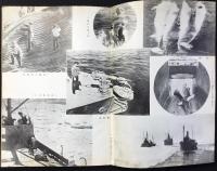 南氷洋上に国際的制覇を目指す極洋捕鯨株式会社の事業内容