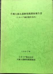 片瀬大源太遺跡発掘調査報告書(ミネベア藤沢製作所内)