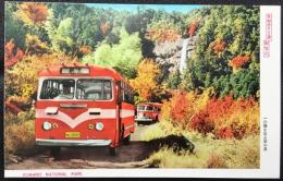 〈絵葉書〉ボンネットバスと普通のバスの同時進行