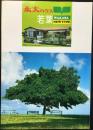 〈カタログ〉永大産業株式会社ハウス団地事業部発行『永大ハウス「若葉」』