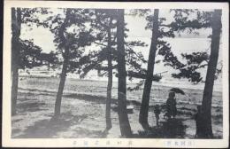 〈絵葉書〉三河名所　衣が浦之海岸