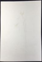 ル・ボン・ジャンル第58号　ベルベットの帽子。布製のキャリック