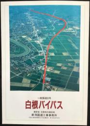 一般国道8号　白根バイパス