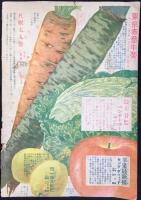 日本種苗株式会社発行『大正六年春の部　農林種苗代価表　第132号』