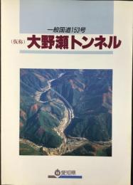 一般国道153号　(仮称)大野瀬トンネル
