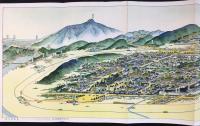 〈鳥瞰図〉臨済宗大本山　妙心寺図絵　