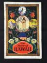 ハワイ観光局発行『The Story of HAWAII』