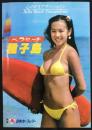 〈パンフ〉日本カーフェリー『ベラ・ビーチ種子島』