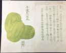 〈商品袋〉東京内藤新宿　日本種苗株式会社　『千成なつめ瓜』