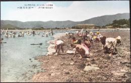 〈絵葉書〉蒲郡美観　潮風涼しい夏の一日、地方色豊かな竹島北面の潮干狩