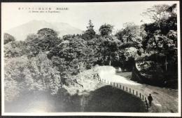 〈絵葉書〉鹿児島名所　城山公園ハイキング道