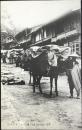 〈絵葉書〉馬籠ノ名物馬方　雨天ノ繭付ケ(今ノ馬籠風景)