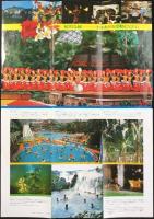 〈パンフレット〉常盤ハワイアンセンター