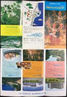 〈パンフレット〉常盤ハワイアンセンター