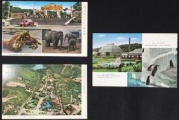 〈絵葉書〉名古屋　東山動物園