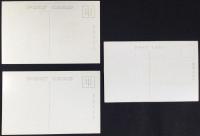 〈絵葉書〉名古屋　東山動物園