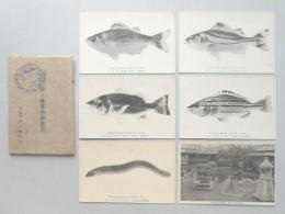 【絵葉書】伊豆伊東浄の池異魚　6枚