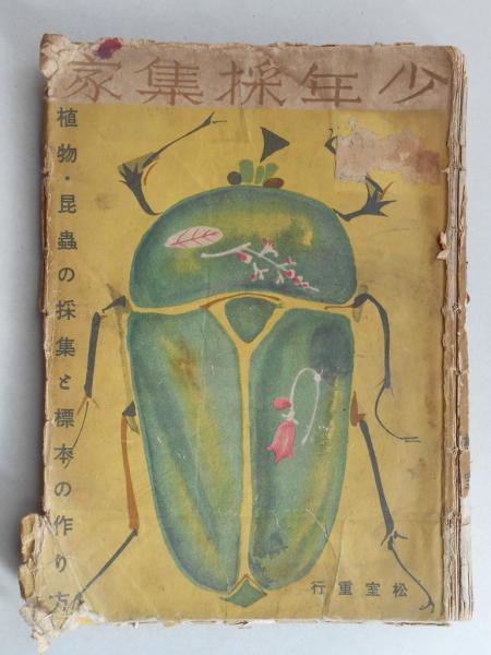 植物 昆虫の採集と標本の作り方 少年採集家 松室重行 扶桑文庫 古本 中古本 古書籍の通販は 日本の古本屋 日本の古本屋
