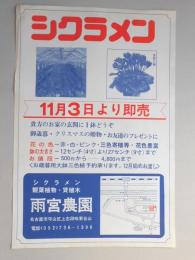 【新聞折込広告】名古屋市守山区　シクラメン　観葉植物・貸植木　雨宮農園　シクラメン　11月3日より即売