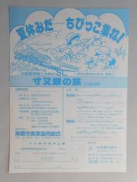 【新聞折込広告】春日井市　高蔵寺農業協同組合　夏休みだ…ちびっこ集れ!　寸又峡の旅(1泊2日)