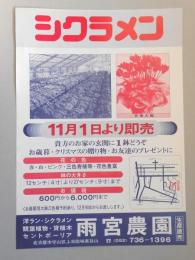 【新聞折込広告】名古屋市守山区　雨宮農園　シクラメン　11月1日より即売