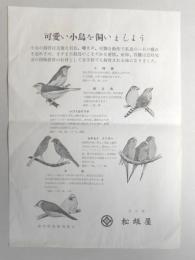 【チラシ】名古屋　松坂屋　『可愛い小鳥を飼いましょう』