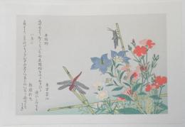 【錦絵】逸品虫えらみ　赤蜻蛉といなご