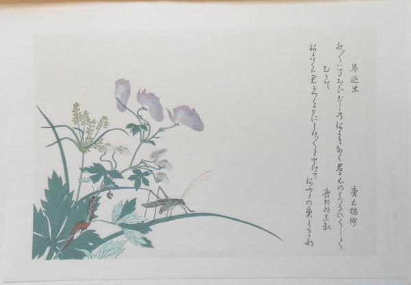 錦絵】逸品虫えらみ 馬追虫とむかで / 扶桑文庫 / 古本、中古本