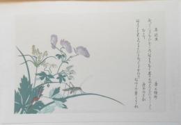 【錦絵】逸品虫えらみ　馬追虫とむかで