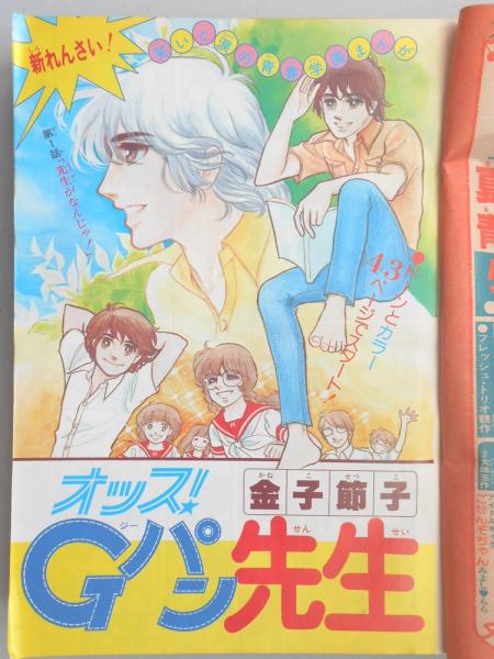 漫画雑誌りぼん 一条ゆかりのスカーフ