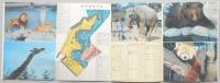 浜松市動物園開園15周年記念パンフレット