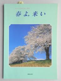 <楽譜>ニューベストコーラス『春よ、来い』