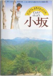 【パンフ】飛騨　小坂　岐阜県