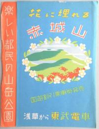 花に埋れる赤城山