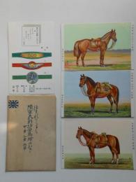 〈絵葉書〉ほまれのしるし　陸軍表彰功労馬　甲章乙章丙章