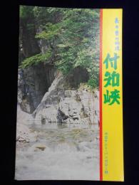 裏木曽の秘境　付知峡　中日テント・バンガロー村