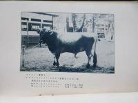 日本帝国ジェルシー種牛協会年報　第一号～第三号