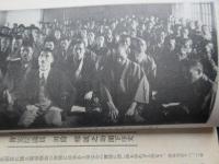 野一色電気研究所発行『放射蒸熱　電気治療機説明書』