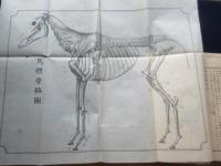 馬学教程　全