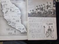 マライ総観