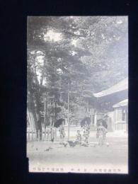 〈絵葉書〉熱田神宮境内　五本松