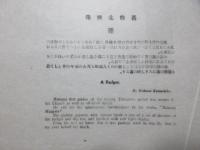 日本木版画粋　葛飾北斎筆『狸』　