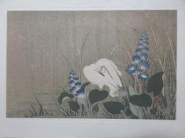 日本木版画粋　狩野玉楽筆『鷺』