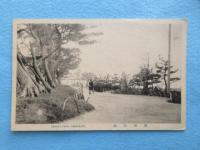 〈絵葉書〉酒田名所　酒田公園　(山形県)