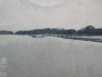 〈絵葉書〉津市阿漕浦全景及網引