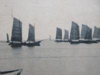 〈絵葉書〉津名所　贄崎海岸ノ景